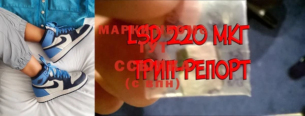 мдпв Горнозаводск