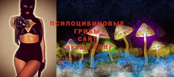 apvp Горняк