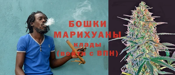 мдпв Горнозаводск