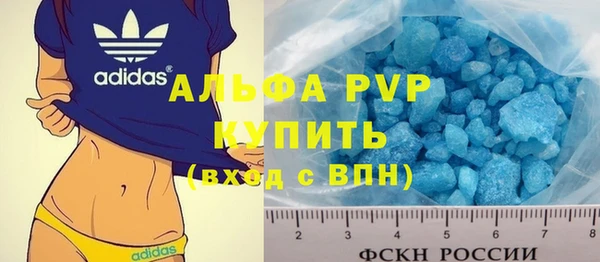 apvp Горняк
