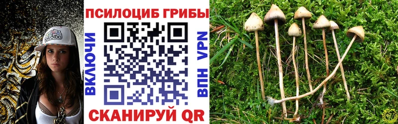 Псилоцибиновые грибы мицелий  наркотики  Улан-Удэ 